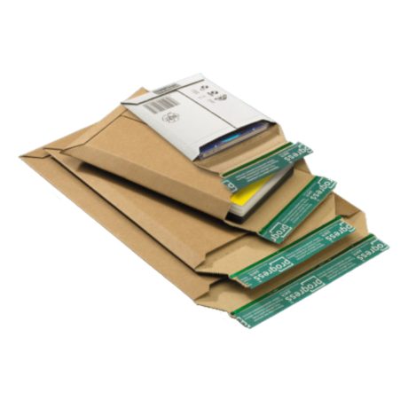 Karton boríték ragasztócsíkkal  220x110x -32mm (külméret) PP W05.00